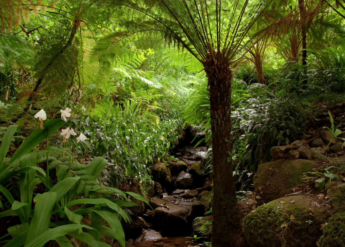 relaxing space to help you fall asleep in 10 seconds