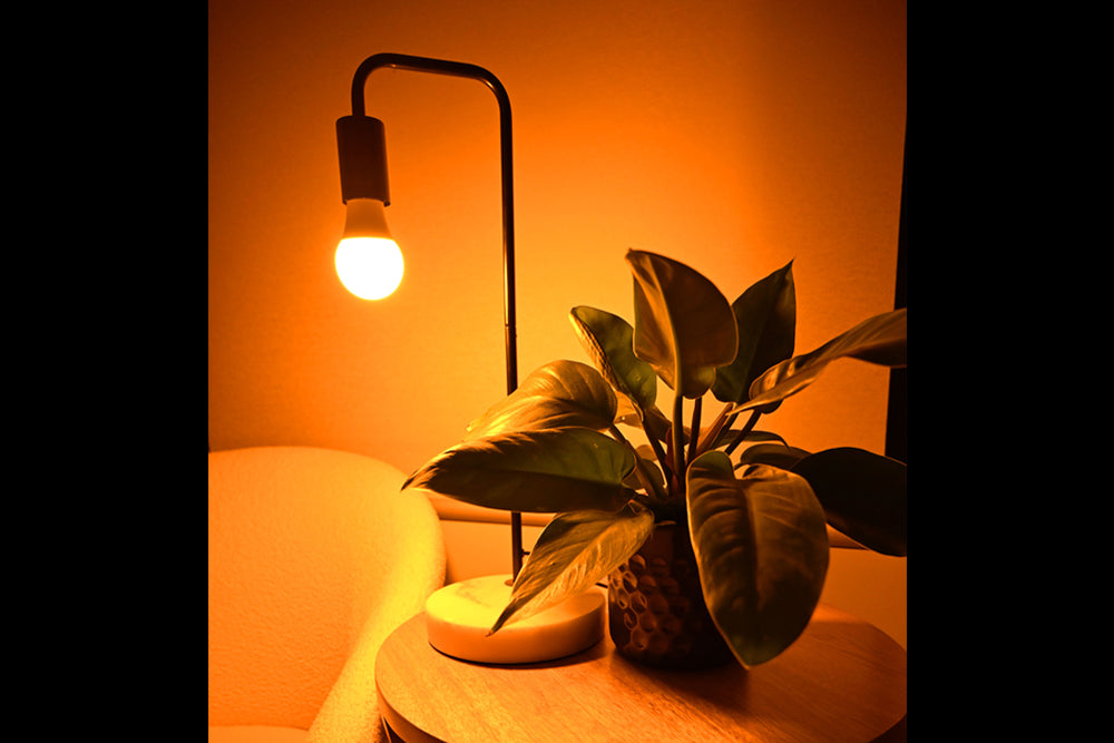 Night-time bulbs with relaxing red light