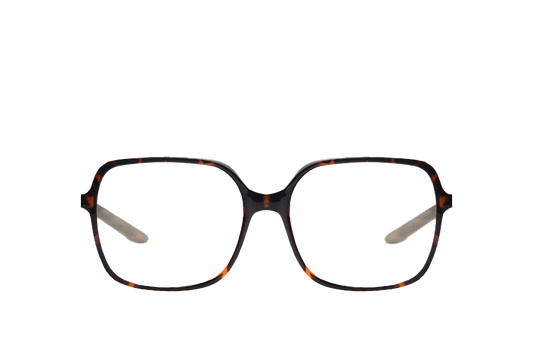 Blaire Computer Glasses